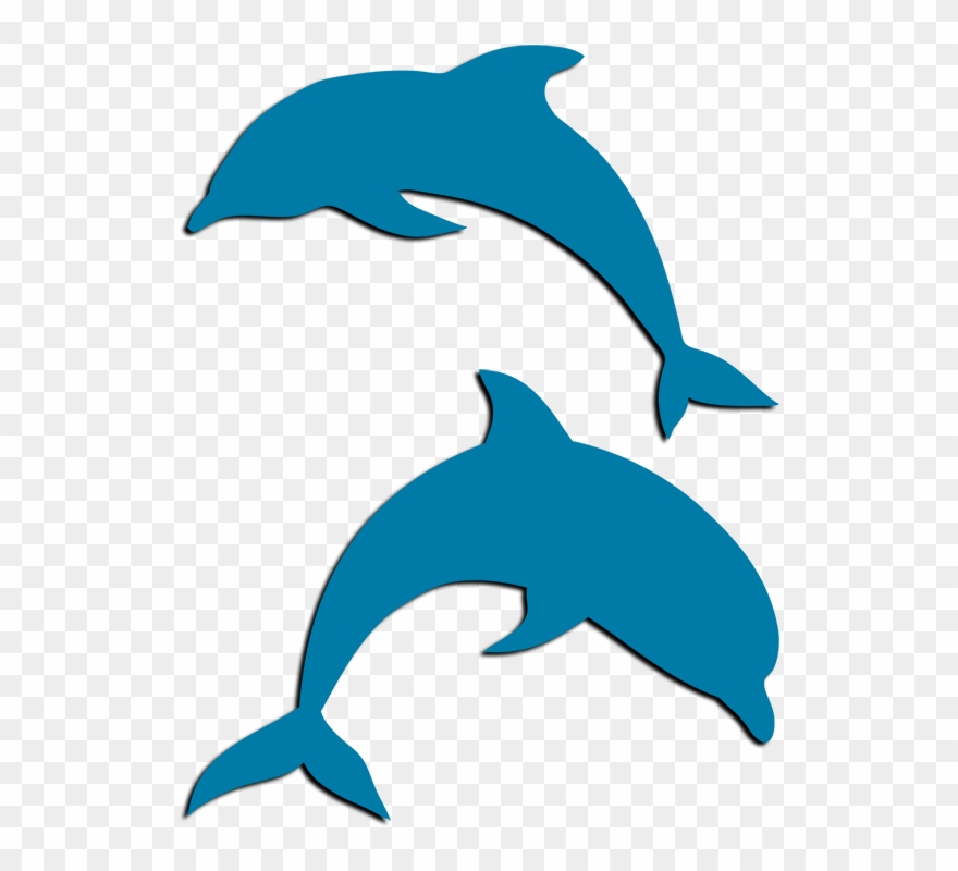Tri Delta Dolphin Png Clipart