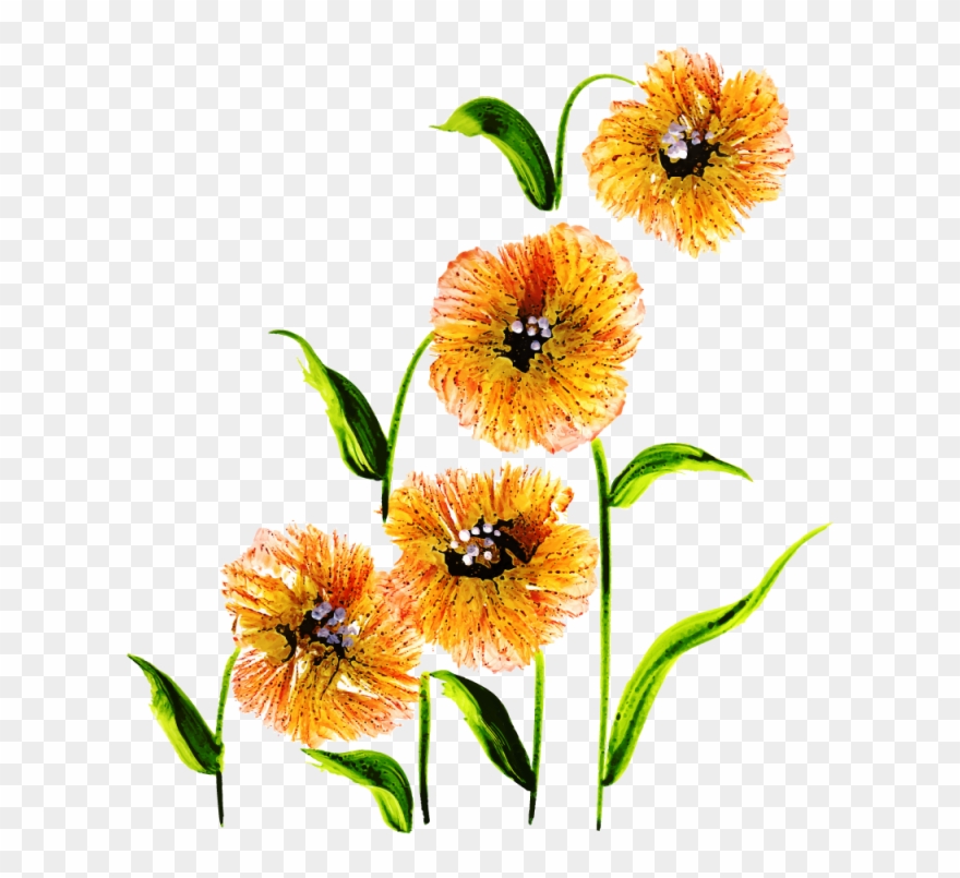 Free Png Floral Bouquets - Ixia Clipart