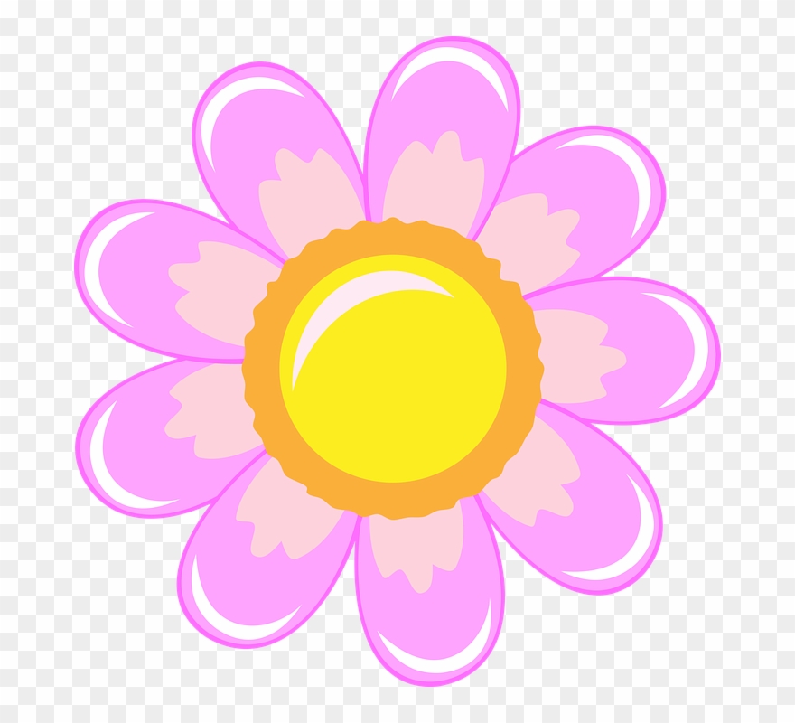 Flower Unique Pink Purple Nature Petals Spring Clipart