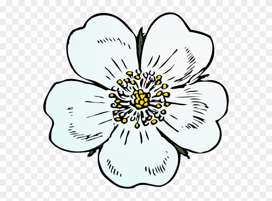 How To Set Use White Rose Icon Png - Apple Blossom Clip Art Transparent Png
