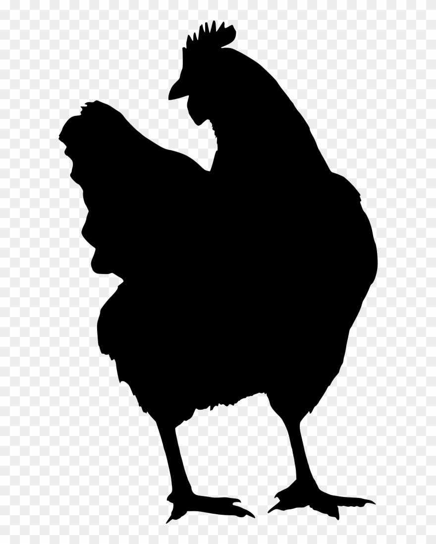 Download Png - Chicken Clipart