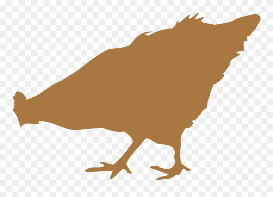 Chicken Silhouette Png - Silhueta Galinha Marrom Png Clipart