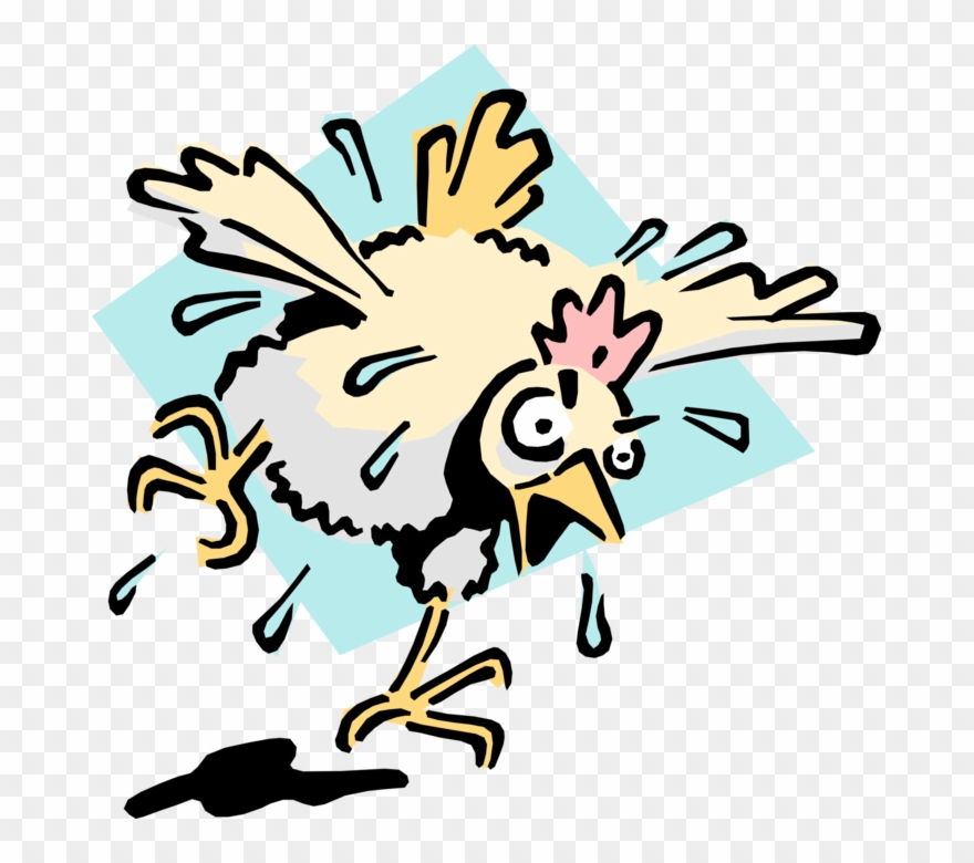 Vector Illustration Of Mad As Wet Hen Idiom - Scared Chicken Animated Gif Clipart