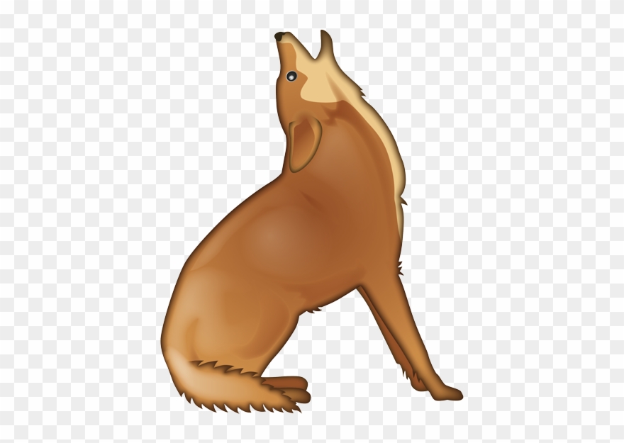 Free Download For Personal Use - California Sea Lion Clipart