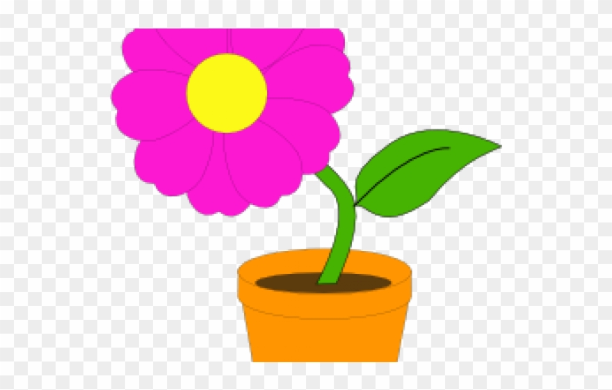 Flower In A Pot Clipart - Png Download