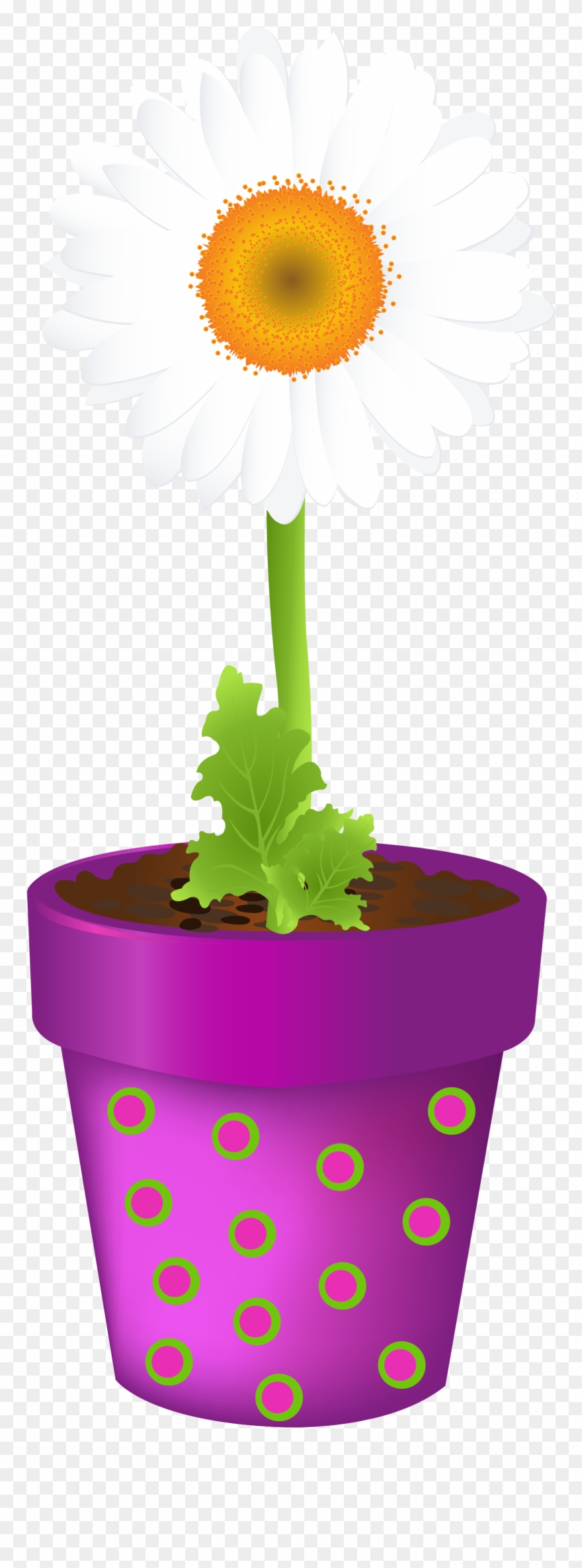 Clip Art Sunflower Transprent - Regaderas Plantas Vintage Flores - Png Download