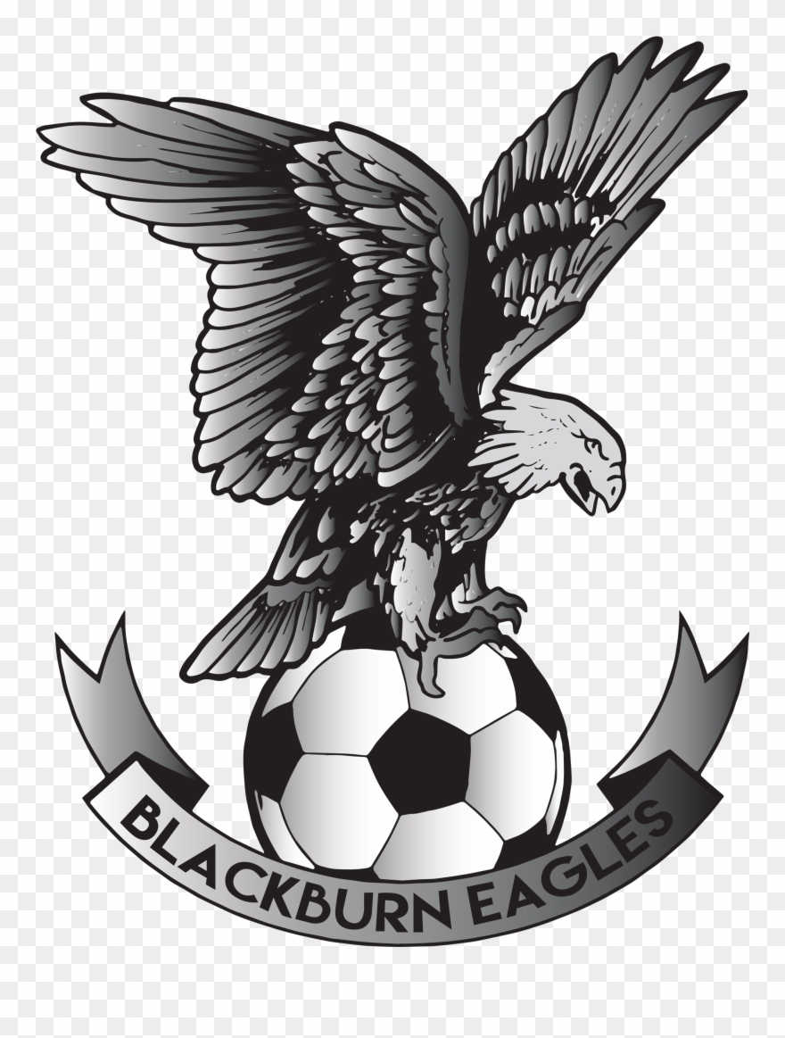 Pro Football Academy Futures - Blackburn Eagles Clipart
