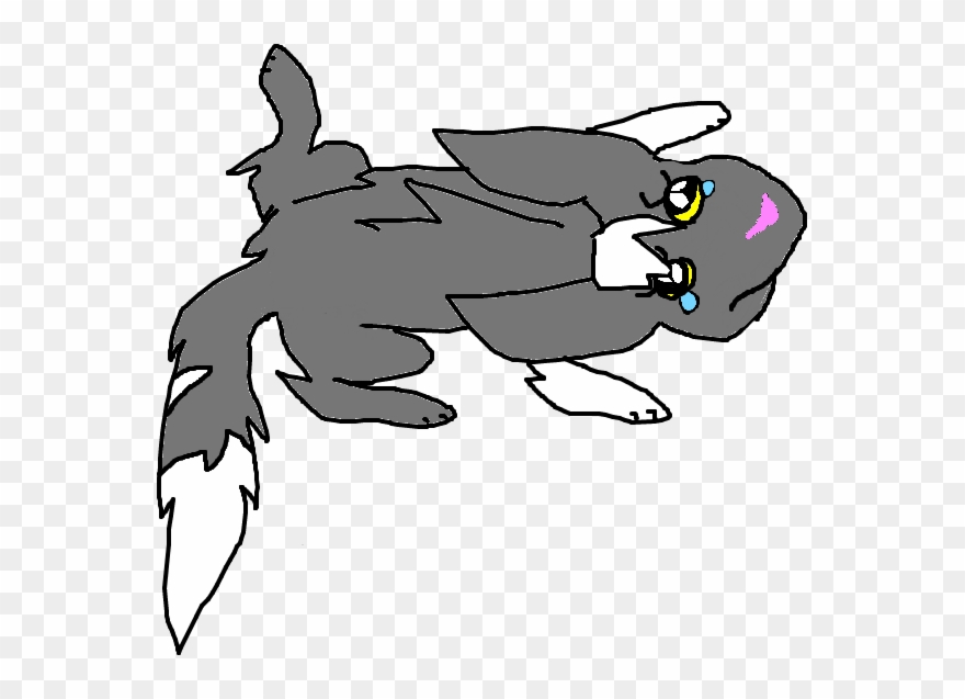 Cat - Sad Cat - Cartoon - Download Transparent Png - Cartoon Clipart