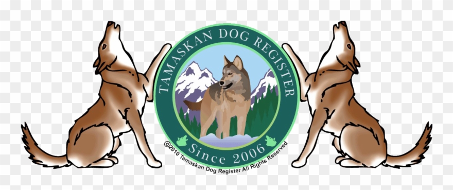 Dog Catches Something Clipart