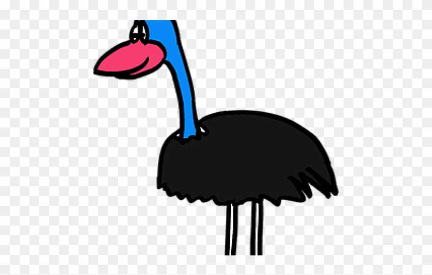 Bird Clipart Cassowary - Png Download