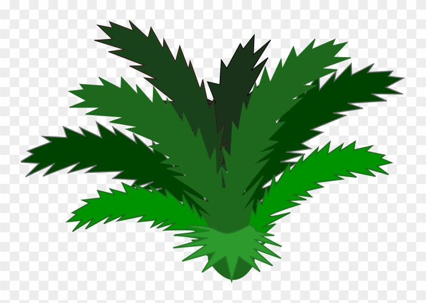 Jungle Plant Clip Art Clipart Free Download - Clip Art - Png Download