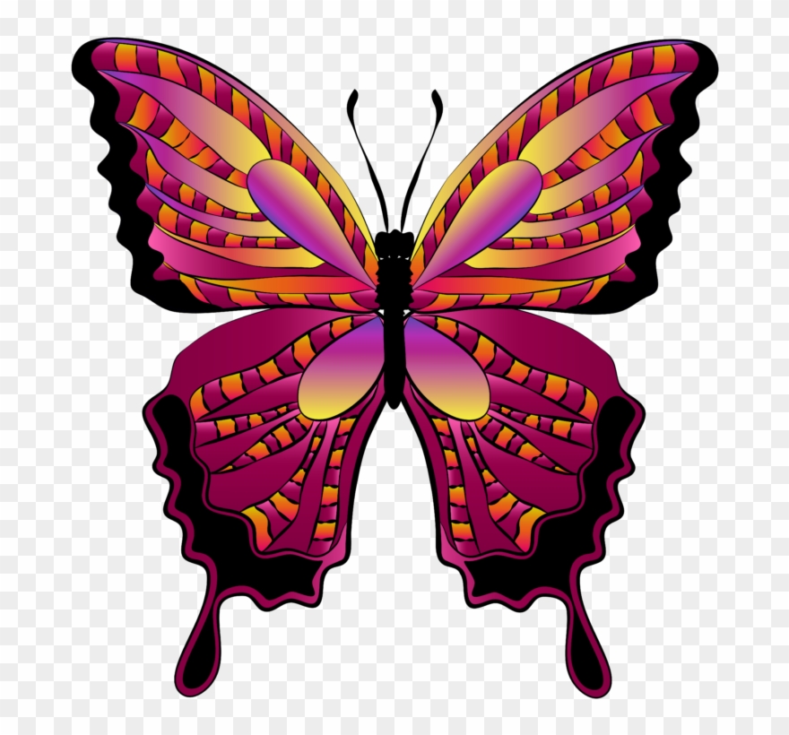 Butterfly Clipart - Png Download
