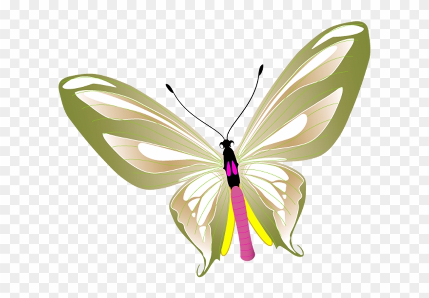 10 Temmuz 2018, - Butterfly Png Vector Clipart