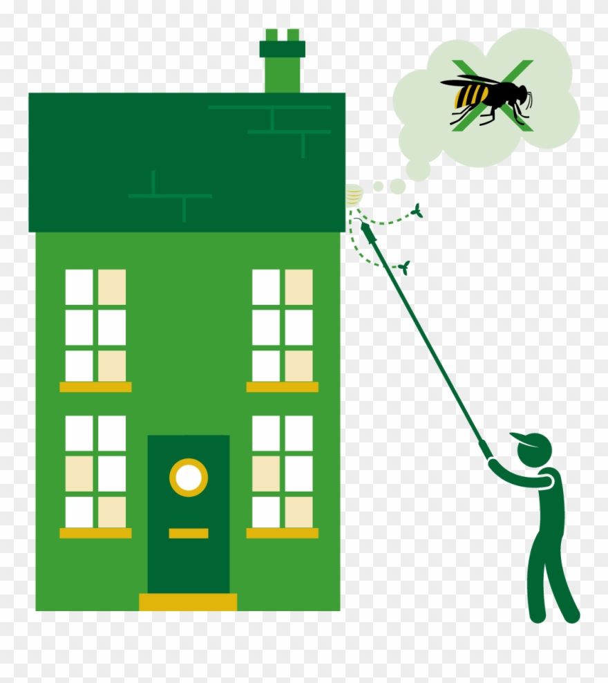 Wasps - Illustration Clipart