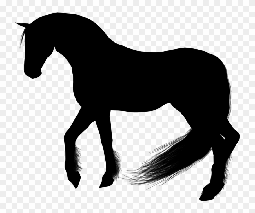 Horse Silhouette Clipart - Horse - Png Download