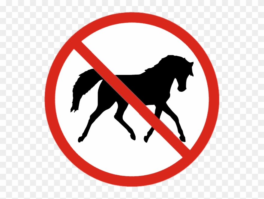 No Horseback Riding - No Insects Clipart
