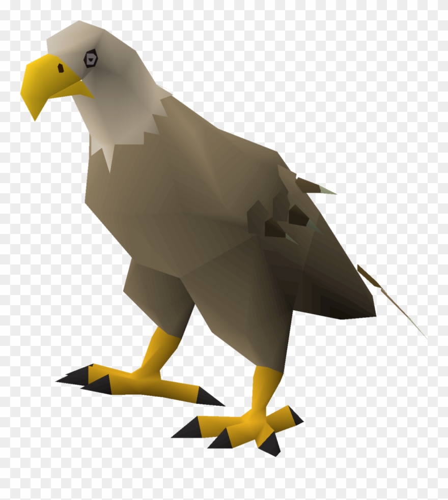 Download Transparent Png - Bald Eagle Clipart