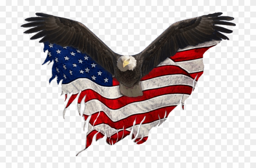 Eagle Png Flag - Eagle United States Png Clipart
