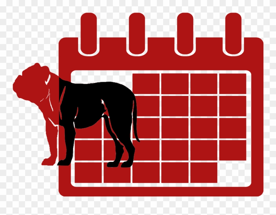 Bully Of The Month Blurb Img3 - Calendário Desenho Preto E Branco Clipart