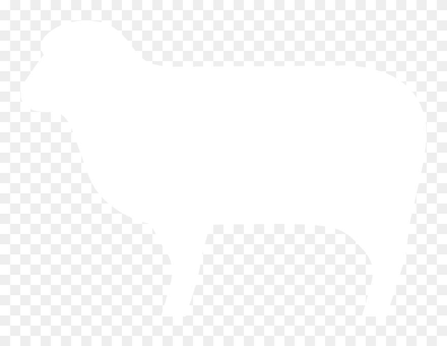 White Sheep Silhouette Transparent - Sheep Icon White Png Clipart
