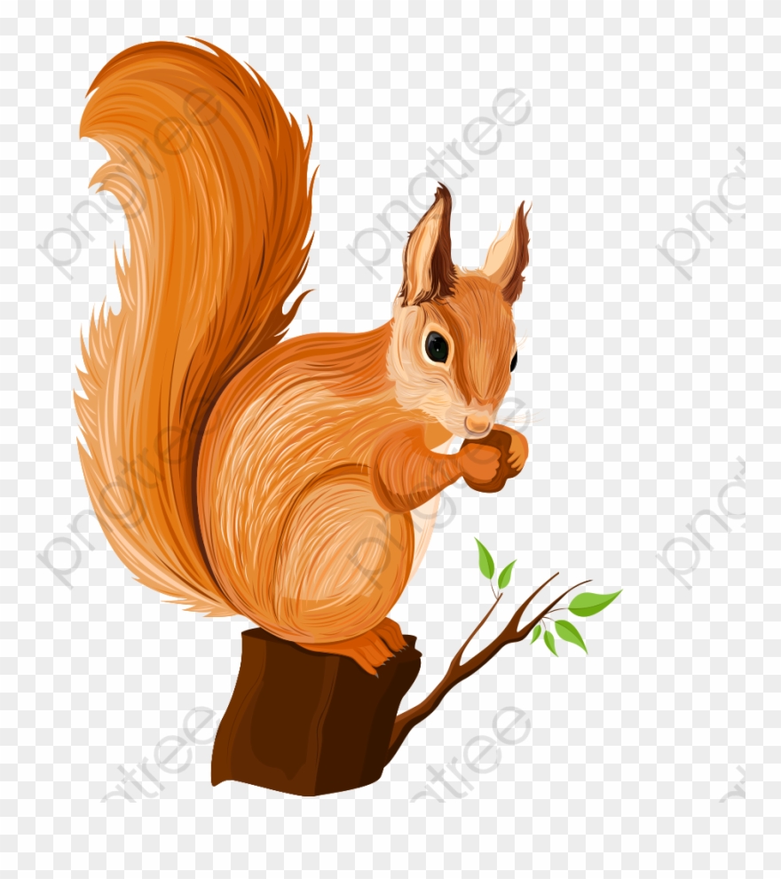 Transparent Squirrel Cartoon Clipart