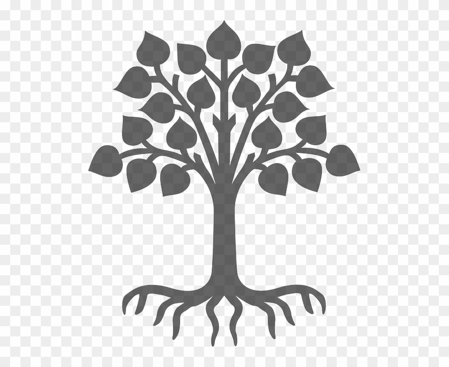 Plant, Silhouette, Grey, Tree, Leaves, Wood, Roots - Child Care Clipart