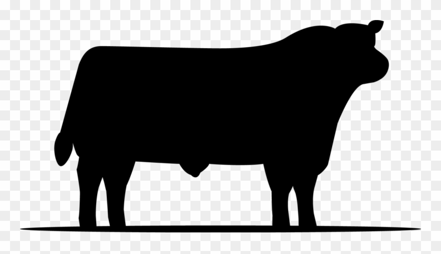 Westmorland County - Cattle Clipart