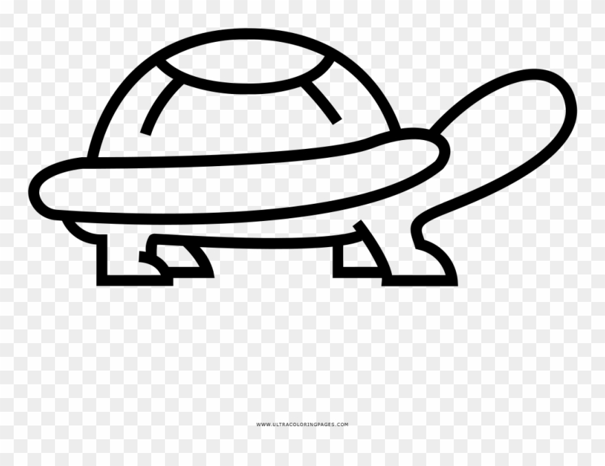 Schildkröte Ausmalbilder - Drawing Clipart