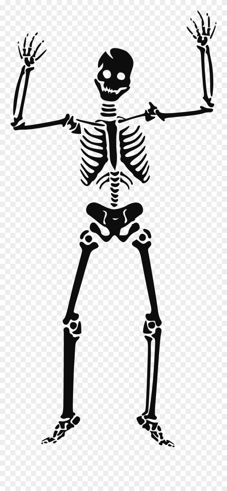 Skeleton Clipart Transparent Halloween Skeleton Clipart Png Download 4924922 Pinclipart