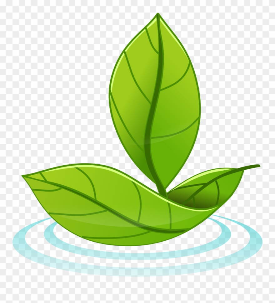 Clip Art - Png Download