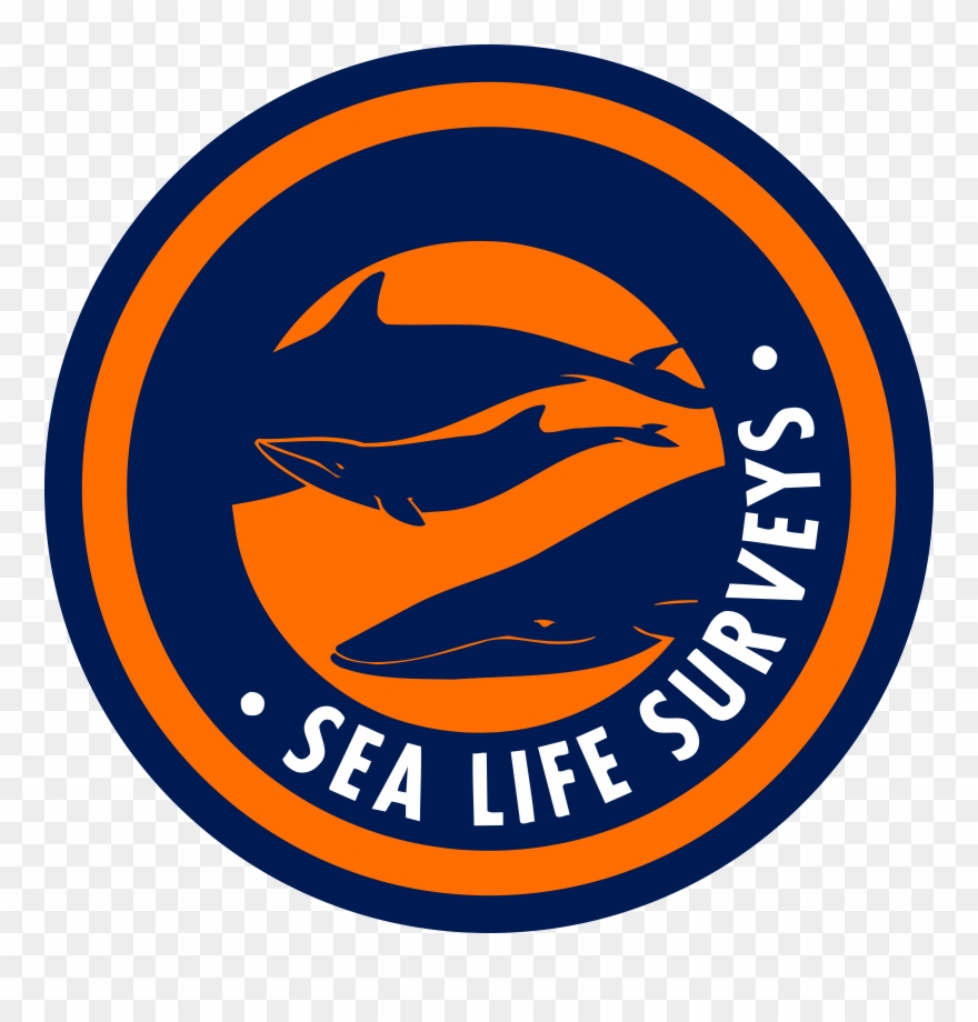 Sea Life Surveys Logo Png Transparent - Steven Universe Sapphire Gemstone Clipart