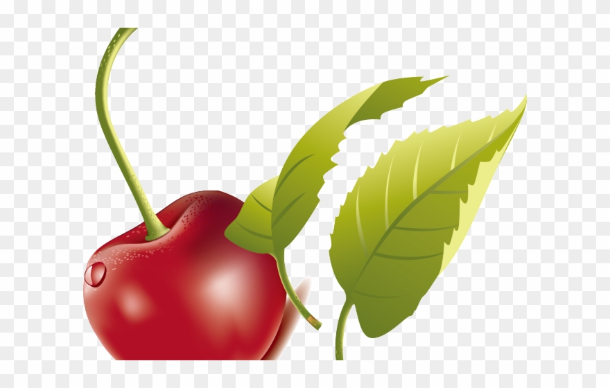 Green Leaves Clipart Cherry Leaf - Cherry - Png Download