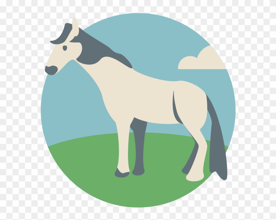 New Forest Pony - Przewalski's Horse Clipart