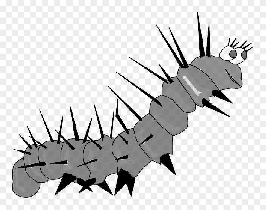 Bug Butterfly Cocoon Worm Public Domain Pictures - Clip Art - Png Download