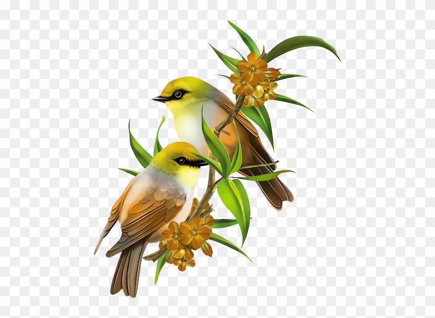 Image Du Blog Zezete2 - Estrela De Minas Bom Dia Feliz Sabado Clipart