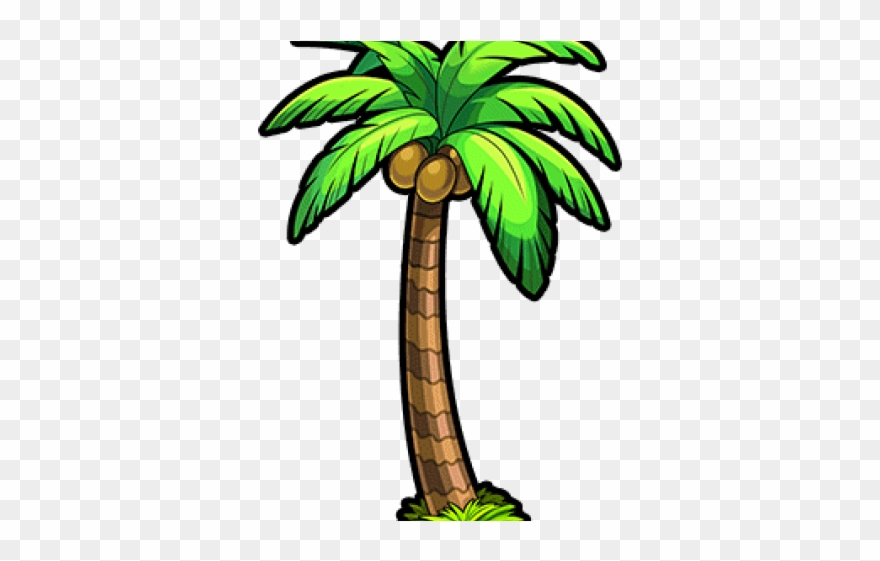 Cartoon Palm Tree Pictures - Palm Tree Render Clipart