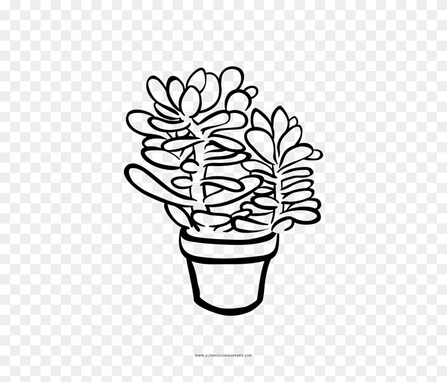 Medium Size Of Coloring Books And Pages - Flower Outline Clipart - Png Download