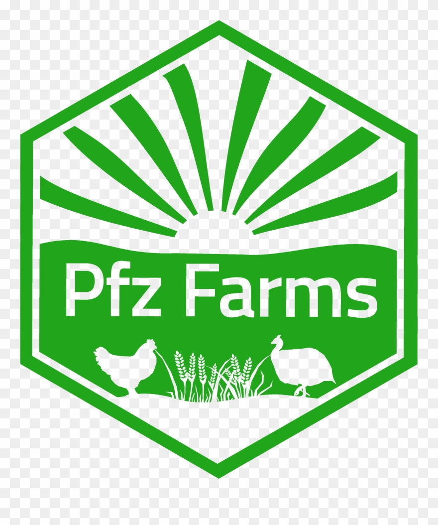 Gluten Free Grains - Illustration Clipart