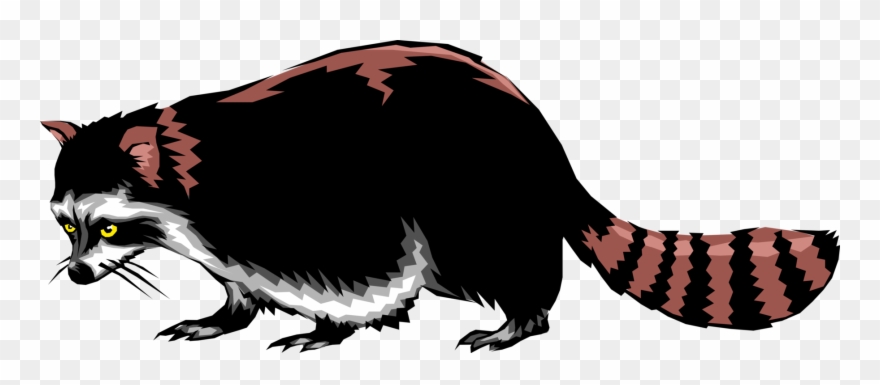 Vector Illustration Of North American Medium-sized - Illustration Clipart