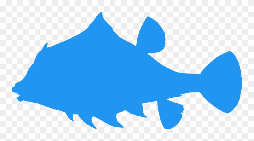 Download Png Clipart