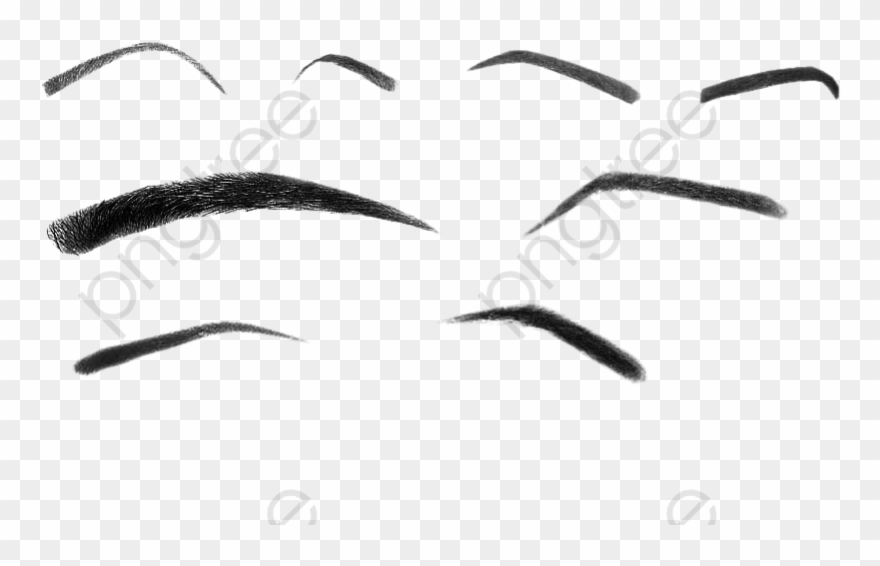 Eyebrow Brush Clipart - Sketch - Png Download