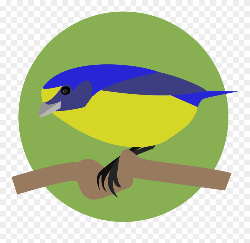 Mountain Bluebird Clipart (#4937461) - PinClipart