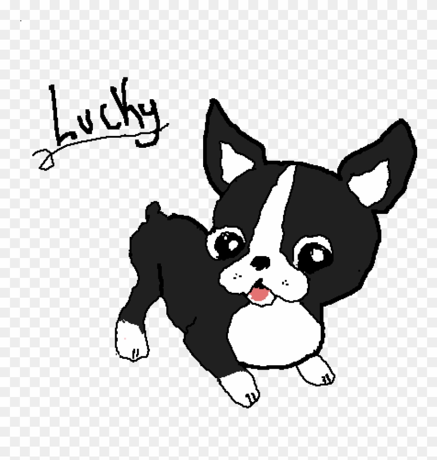 Boston Terrier Png - Cute Kawaii Boston Terrier Clipart