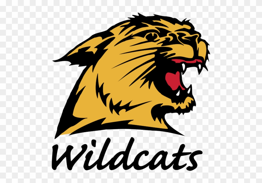 Dougherty Valley High School Wildcat Clipart