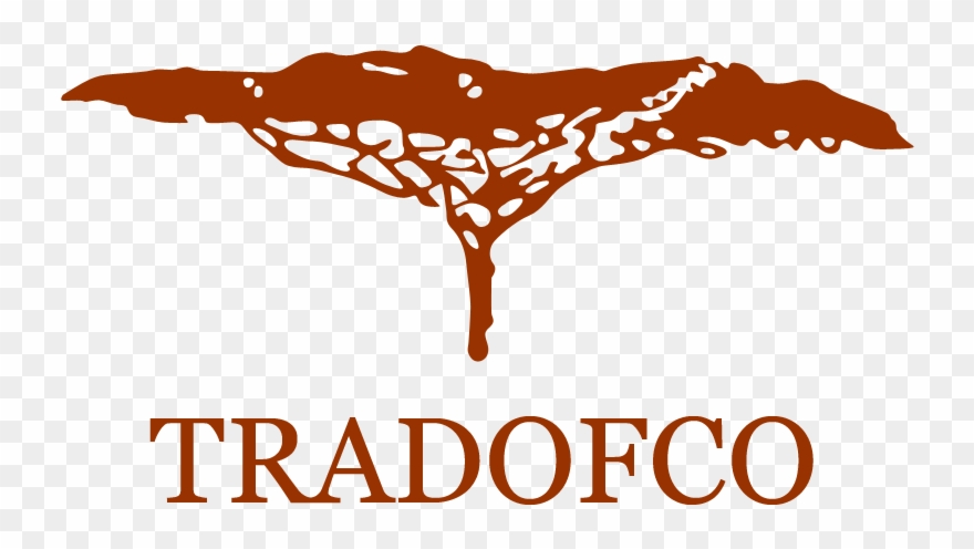 What We Do - Ap Transco Clipart