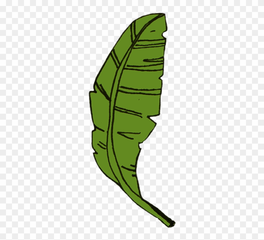 Hoppers, Dosas, Rice, Roast, Kothu & Arrack Inspired Clipart