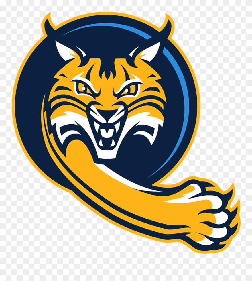 Quinnipiac Bobcats - Quinnipiac Bobcats Logo Clipart