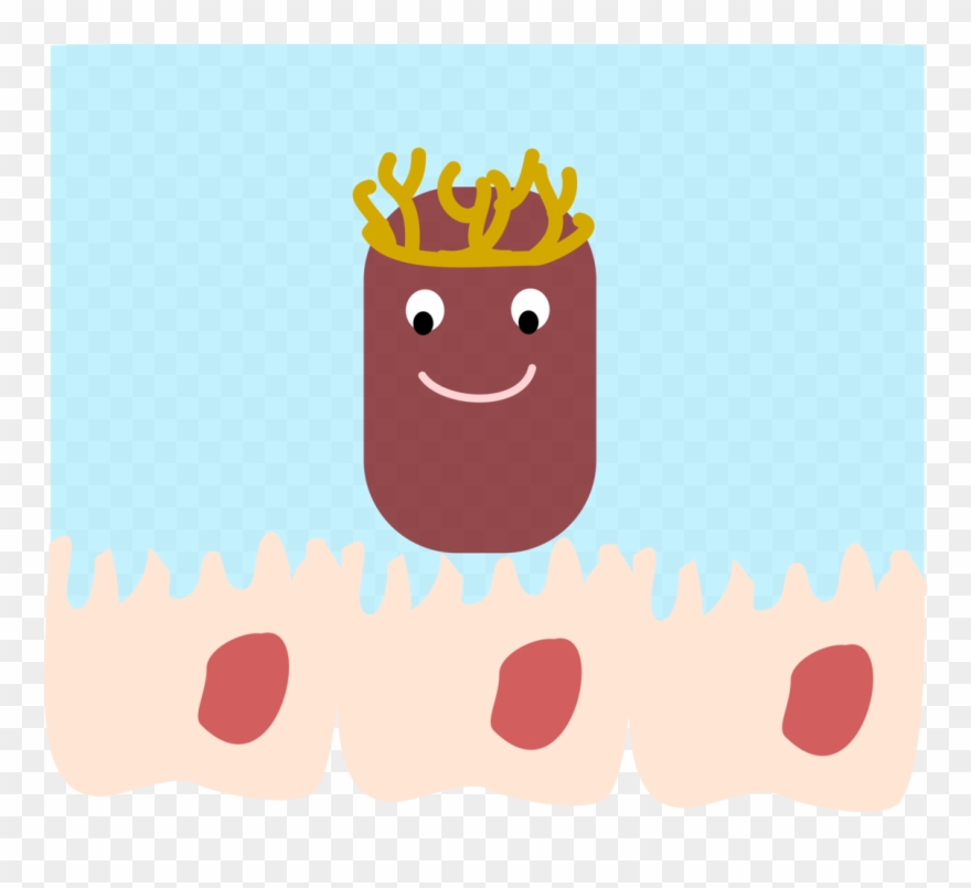 Clip Art - Png Download