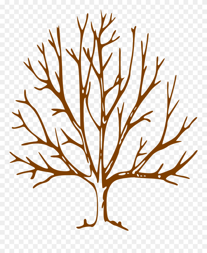 Simple Bare Tree Clipart Image Info - Tree With Bare Branches - Png Download
