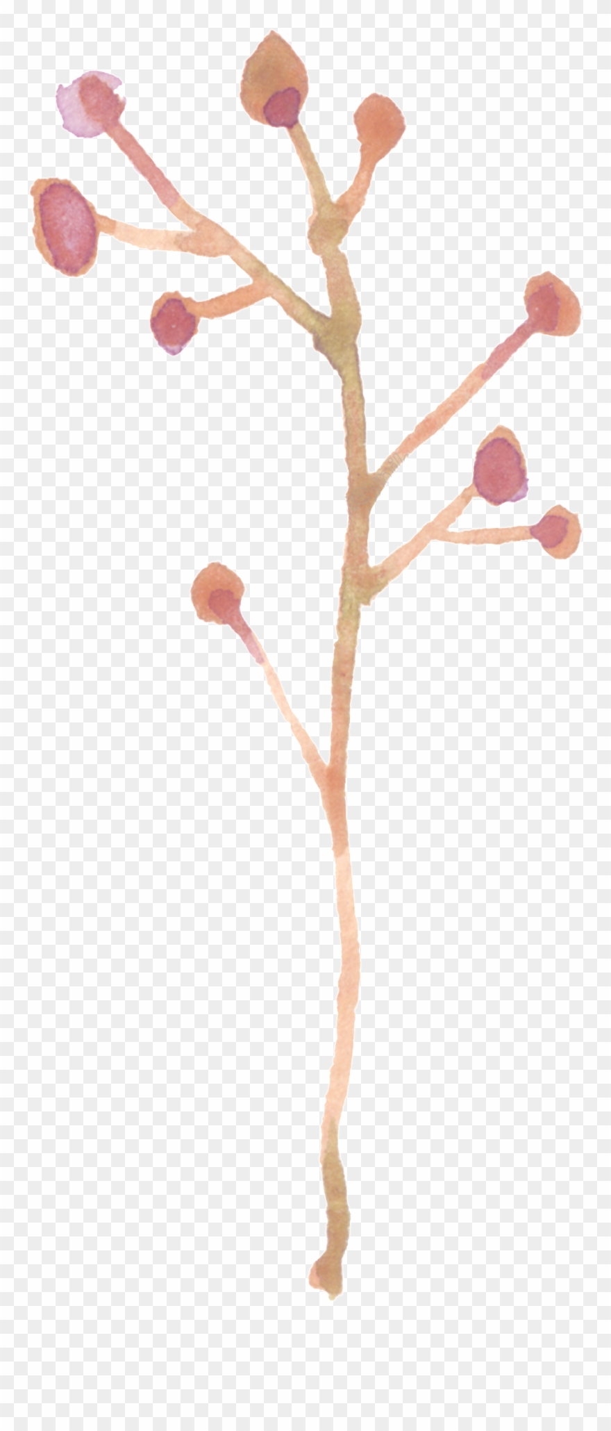 Twig Vector Branch - Twig Clipart
